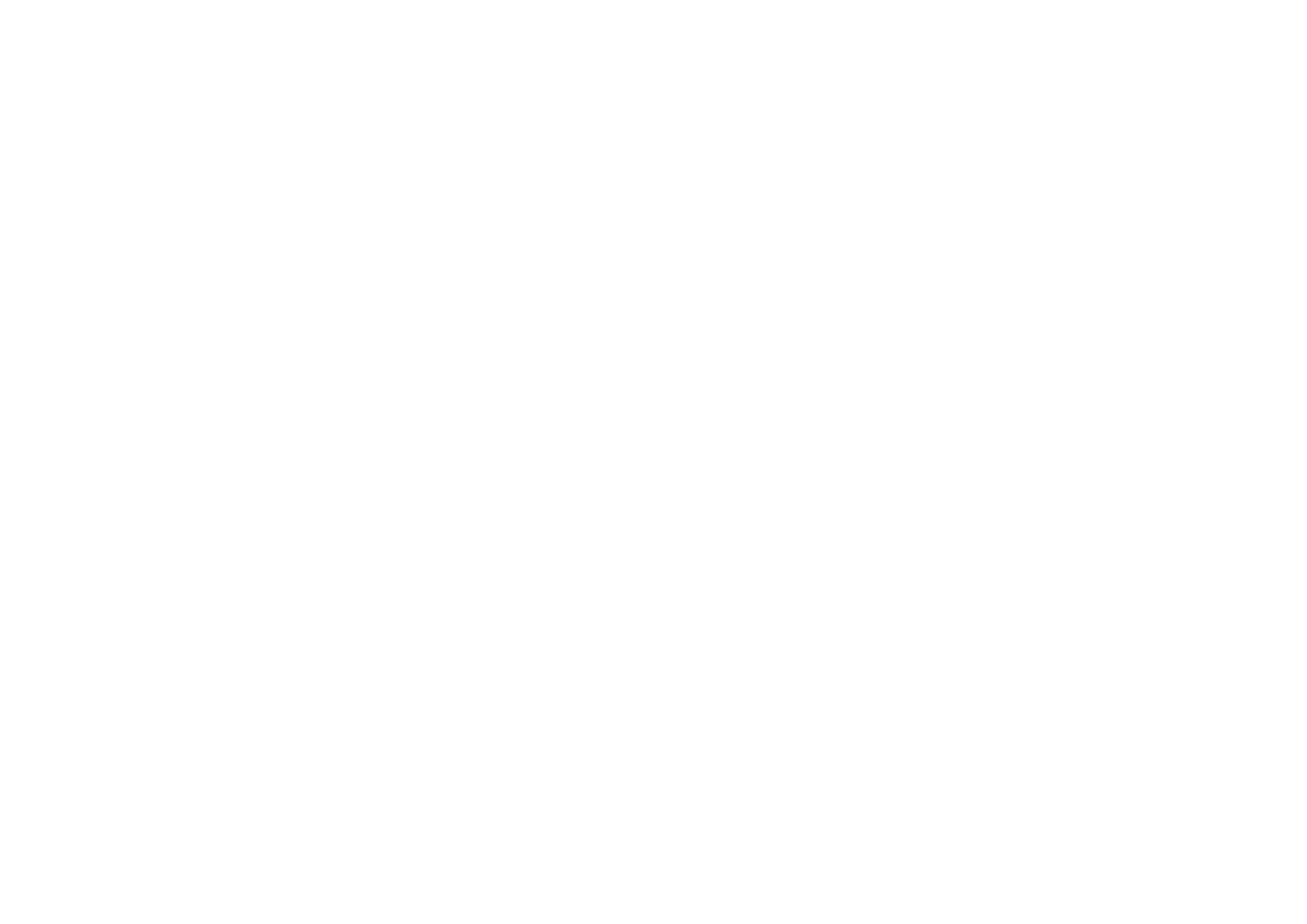 Perspective Economics